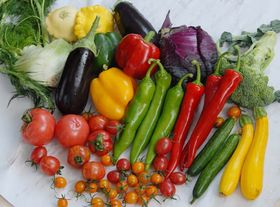 果蔬呼吸測(cè)定儀有什么作用?