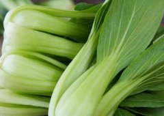 植物冠層分析儀如何助力農(nóng)業(yè)研究?